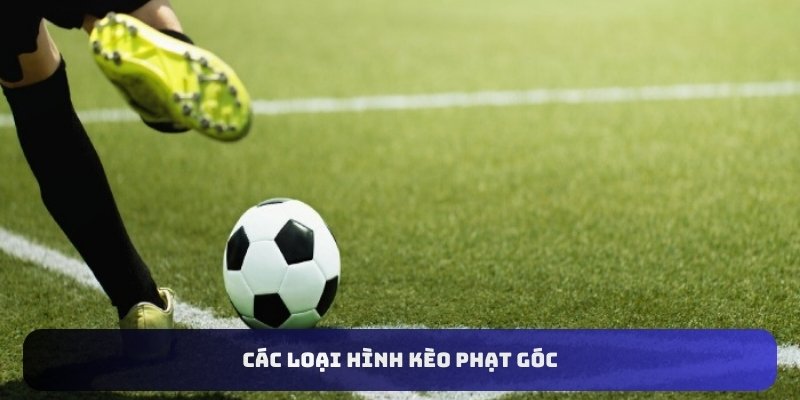 Các loại hình kèo phạt góc